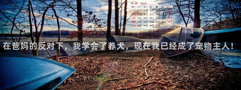 TOP1体育大水台