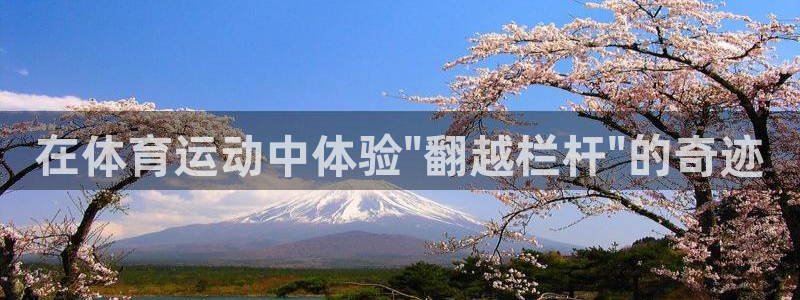关键词：在体育运动中体验\