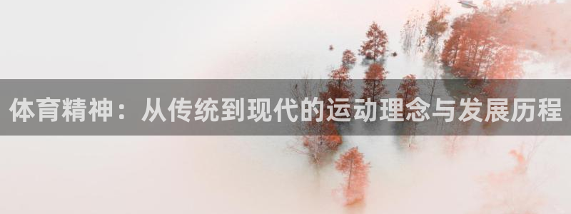 top1体育app下载安装：体育精神：从传统到现代的运动理念与发展历程