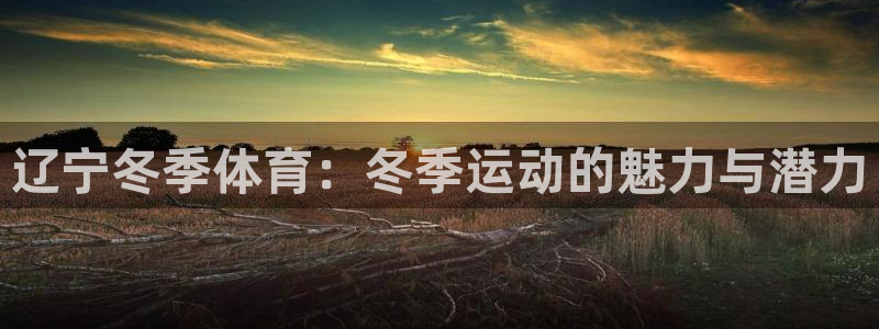 Top1体育是什么软件
