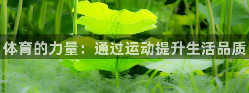 top1体育平台入口地址