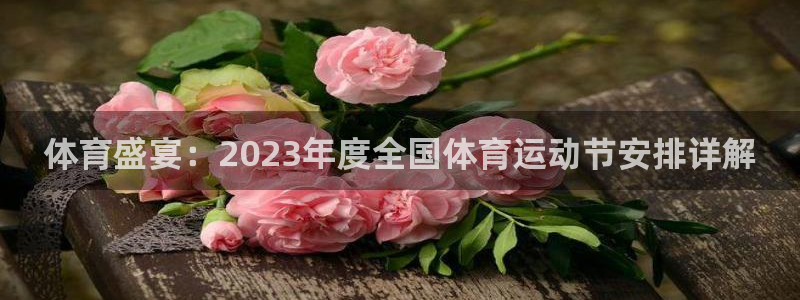 top1体育app下载：体育盛宴：2023年度全国体育运动节安排详解